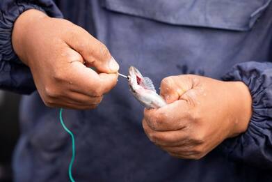 Pesca, boom di donne iscritte alla prima scuola in Italia