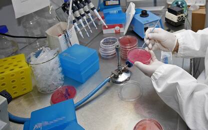 Nel Regno Unito nuovo laboratorio per prevedere pandemie e malattia X