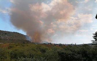 Foto incendio sul Carso