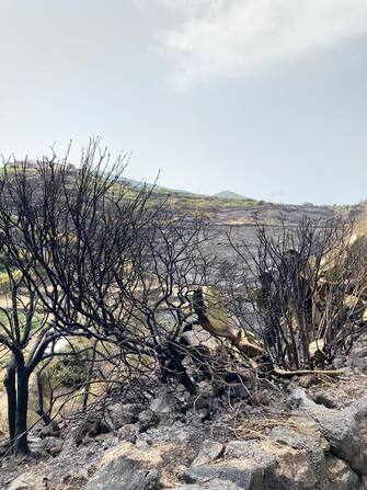 Incendio a Pantelleria