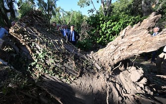 epa10127685 France's Interior Minister Gerald Darmanin (C) looks at a fallen tree as he visits the Sagone camping site in Sagone, on the French Mediterranean island of Corsica, 18 August 2022, where a tree fell on a bungalow during storms killing one person. Brutal storms with winds gusting up to 224 kilometres per hour (140 miles per hour) left five people dead on the French Mediterranean island of Corsica earlier on 18 August 2022, including a 13-year-old girl who was killed when a tree fell onto her campground bungalow, authorities said.  EPA/EMMANUEL DUNAND / POOL  MAXPPP OUT