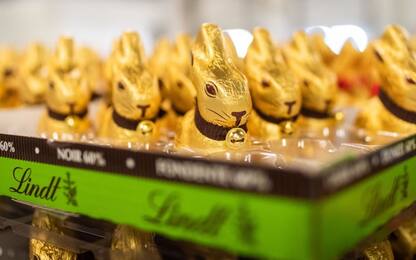 Lidl dice addio ai conigli di cioccolato: troppo simili a quelli Lindt