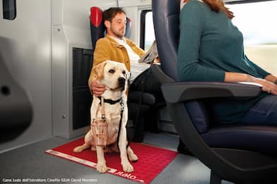 Italo: posti gratis per staffette che viaggiano con cuccioli adottati