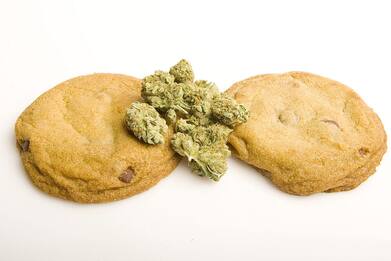 Cannabis, l’allarme dell’Iss: “Sul web biscotti e patatine con Thc"