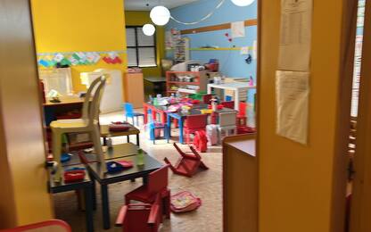 Cinghiali entrano in una scuola dell'infanzia a Bussi, nel Pescarese