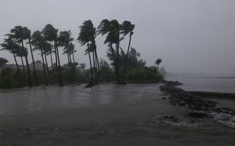 Trees blowing in the wind during cyclone in Saint Martinâ  s Island, Bangladesh.