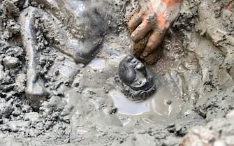 Fasi di scavo di una statua maschile, in occasione della scoperta di un deposito votivo negli scavi di San Casciano dei Bagni, 8 novembre 2022. ANSA/ JACOPO TABOLLI  ++HO - NO SALES EDITORIAL USE ONLY++