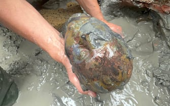 La testa di un bimbo, in occasione della scoperta di un deposito votivo negli scavi di San Casciano dei Bagni, 8 novembre 2022. ANSA/ JACOPO TABOLLI  ++HO - NO SALES EDITORIAL USE ONLY++
