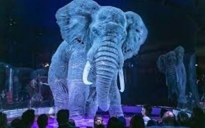 San Giorgio a Cremano, arriva il circo con animali virtuali