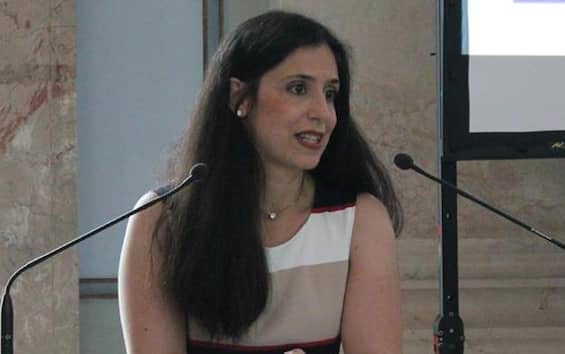 Susanna Schlein, Έλληνες αναρχικοί αναλαμβάνουν την ευθύνη για την επίθεση στο αυτοκίνητο του διπλωμάτη