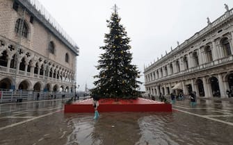 People walk by the municipality's Christmas Tree on a flooded St. Mark's square in Venice on December 10, 2022, following an "Alta Acqua" high tide event, too low to operate the MOSE Experimental Electromechanical Module that protects the city of Venice from floods. (Photo by ANDREA PATTARO / AFP) (Photo by ANDREA PATTARO/AFP via Getty Images)