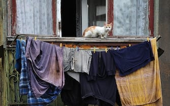 KRAMATORSK, UKRAINE - JUNE 17: A cat sits among laundry hung out to dry on an apartment balcony on June 17, 2022 in Kramatorsk, Ukraine. People have started to trickle back into the city in recent day and some stores have begun to reopen despite a continued threat of attacks from the Russian military. In recent weeks, Russia has concentrated its firepower on Ukraine's Donbas region, where it has long backed two separatist regions at war with the Ukrainian government since 2014. (Photo by Scott Olson/Getty Images)