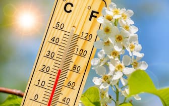warm temperature at spring with fine weather and sun