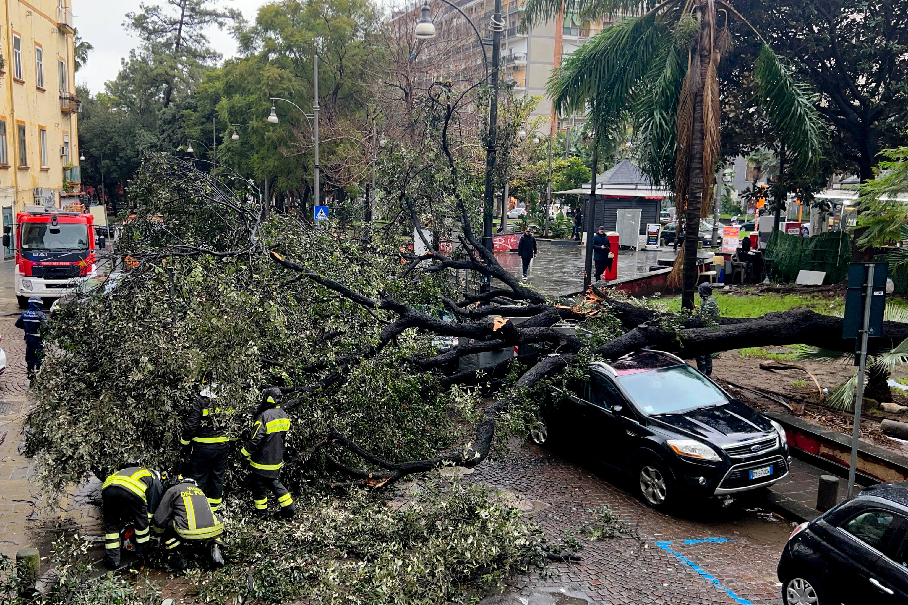 Vigili del fuoco al lavoro per rimuovere l'albero caduto, a causa della pioggia e del forte vento, su alcune macchine parcheggiate in piazza Cavour 
 a Napoli, 17 gennaio 2023.   ANSA / CIRO FUSCO