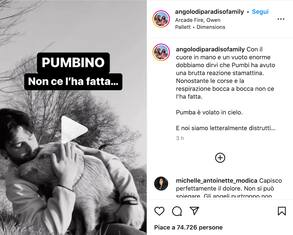 Addio a Pumba, maialino star dei social di Angolo di Paradiso family