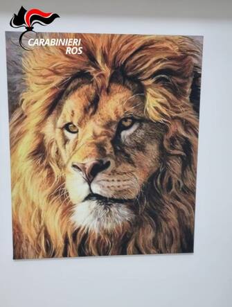 poster di un leone