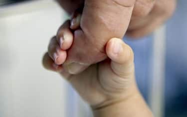 GERMANIA: RECORD DI MINORE NATALITA' - The hand of a newborn baby latches onto the hand of a grownup in a hospital in Cologne, Germany, Monday, 05 September 2005. According to a data collection of the Berlin Institute of Population and Development Germany has worldwide the lowest birthrate. Statistically every German woman gives only birth to 1,36 children. Therewith the birthrate has reached its all-time low of 1945. ROLF VENNENBERND/ ANSA/ I52