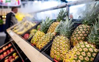 08 February 2023, Berlin: Pineapple is exhibited at Fruit Logistica. Fruit Logistica is an International Trade Fair for Fruit and Vegetable Marketing. Photo: Fabian Sommer/dpa (Photo by Fabian Sommer/picture alliance via Getty Images)