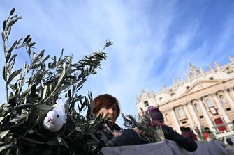 Faithfull wait for Pope Francis' Holy Mass of Palm Sunday in Saint Peter's Square, Vatican City, 02 April 2023. Palm Sunday is a Christian feast that falls on the Sunday before Easter. The feast commemorates Jesus' entry into Jerusalem, an event mentioned in each of the four Christian canonical Gospels. 
ANSA/CLAUDIO PERI