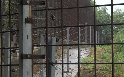 Orsa Jj4, cos'è il centro Casteller di Trento dove è stata rinchiusa