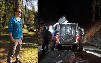 Runner ucciso in Trentino, è stata catturata l'orsa Jj4