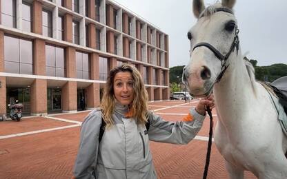 Smart-working negato, va al lavoro a cavallo a Cesena
