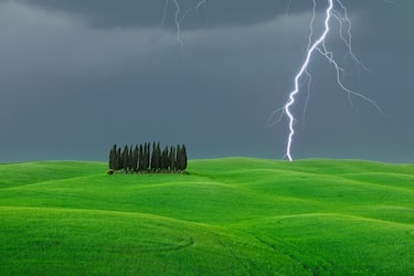 Lightning striking rolling landscape with grove of Cypress trees (Cupressus sempervirens) in green Wheat field. Val d Orcia, Siena Province, Tuscany, Italy.