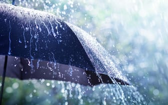 Rain On Umbrella - Weather Concept