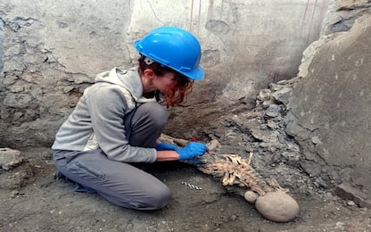 Pompei, scoperti altri due scheletri risalenti a eruzione del Vesuvio