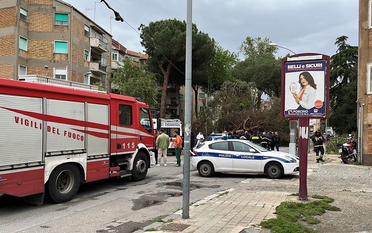 Maltempo, uomo morto per la caduta di un albero a Reggio Calabria