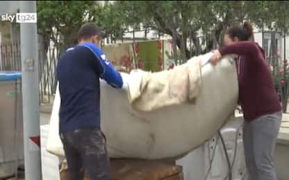 Alluvione Emilia Romagna, il lavoro instancabile dei volontari. VIDEO