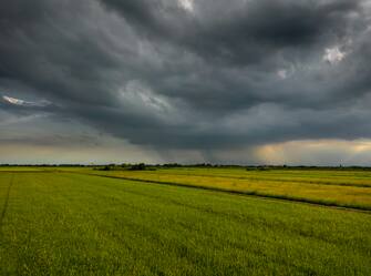 Storm Clouds above Rice Paddy in countryside During Sunset at Nakhon Nayok Province, Thailand, Asia