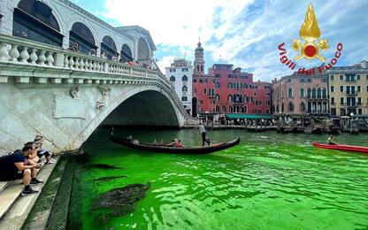 Venezia, comparsa una chiazza verde fosforescente sul Canal Grande