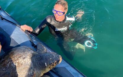 Federica Pellegrini adotta una tartaruga e la libera in mare