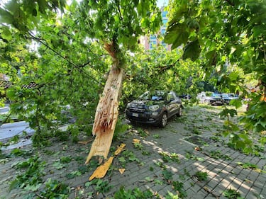 A severe storm toppled trees and destroyed several parked cars at  piazzale Martini, in Milan, Italy, 25 July 2023. A very violent thunderstorm, accompanied by continuous discharges of lightning and sudden gusts of wind, similar to downbursts, struck Milan and a good part of Brianza and northern Lombardy around 4 am. A phenomenon accompanied, in some areas, also by hailstorms.
ANSA/Andrea Fasani