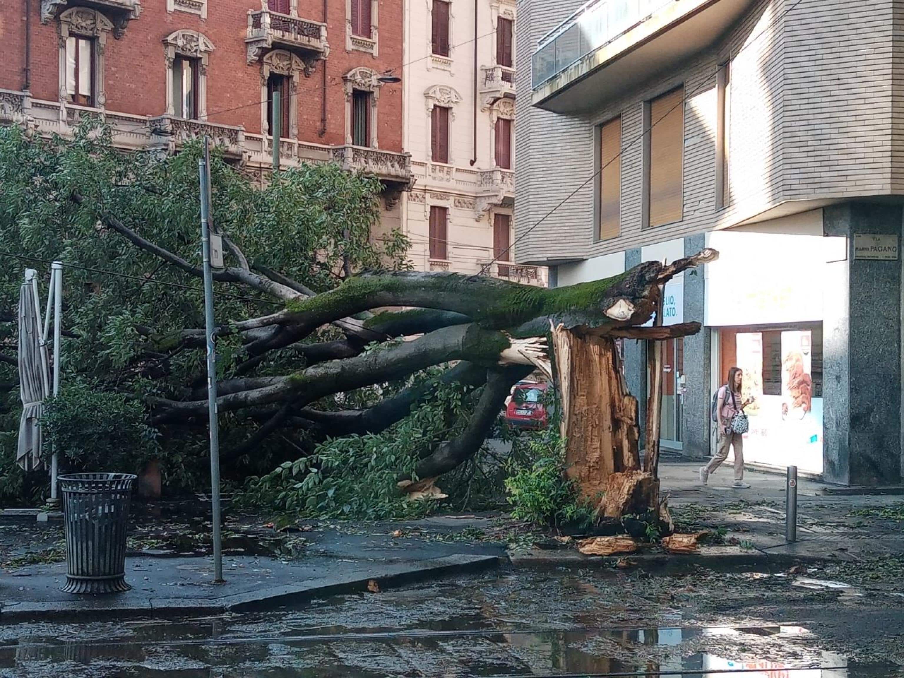 Un'immagine dei danni causati dal maltempo a Milano, in via Ariosto e in Mario Pagano nei pressi di Parco Sempione, 25 luglio 2023. ANSA/PAOLO SALMOIRAGO
