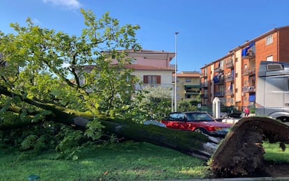Maltempo, un forte temporale provoca diversi danni a Verona