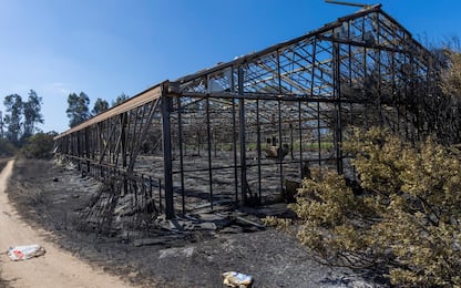 Incendi Sardegna, trovati inneschi. In Cdm stretta su piromani