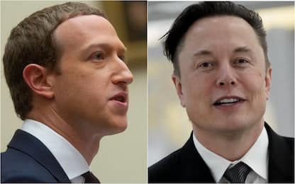 Match Musk-Zuckerberg, ceo di Fb frena: "Se ci sarà, lo saprete da me"