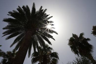 Meteo, ancora tanto caldo sull'Italia: temperature a 38 gradi