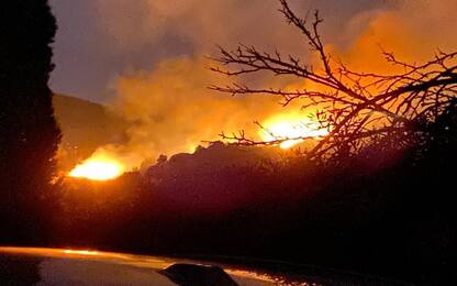 Incendio all'isola d'Elba, evacuati un campeggio e alcune case