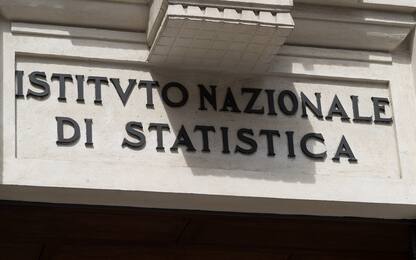 Istat, al via il censimento permanente della popolazione 2023