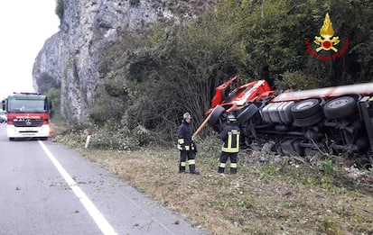  Incidente nel Bellunese, camion investe un cervo: morto l'autista