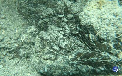 Scoperto un enorme deposito di monete IV secolo d.C. sui fondali sardi