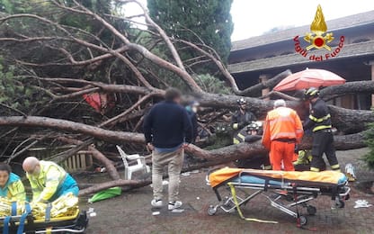 Montecatini, cade albero su casa Babbo Natale: 7 feriti. FOTO