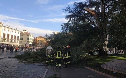 Verona, ramo si stacca dalla pianta e cade su panchina: ferito 30enne