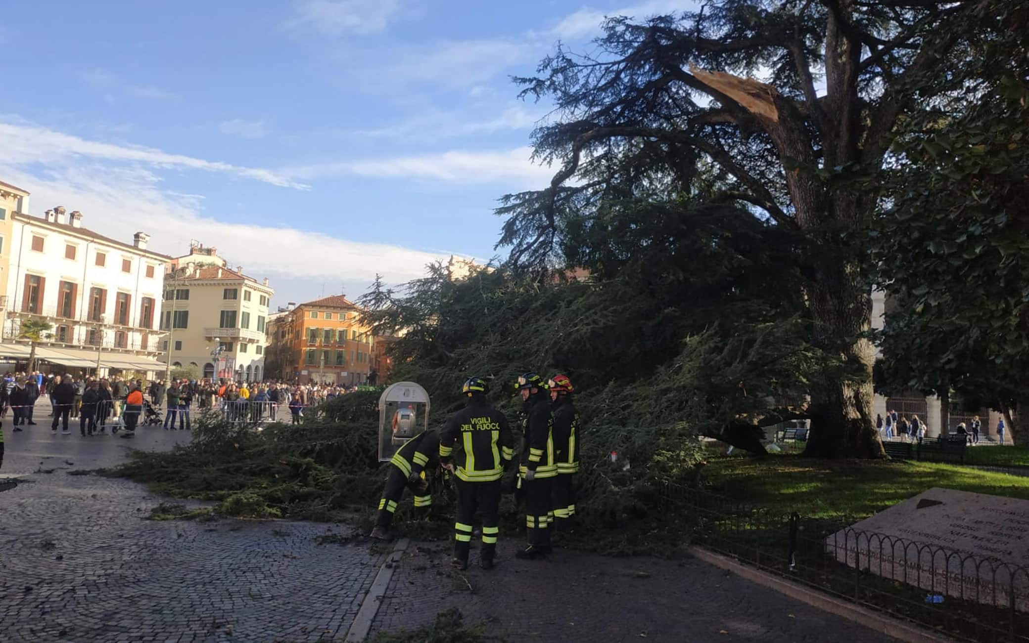 Il ramo di uno degli alberi caduto al suolo sopra una panchina, nei giardini di piazza Bra, nel centro storico di Verona, 12 novembre 2023. ANSA/ POLIZIA LOCALE VERONA ++HO - NO SALES EDITORIAL USE ONLY++