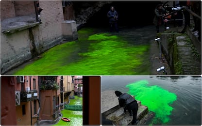 Clima, blitz attivisti da Milano a Roma: acque tinte di verde. FOTO