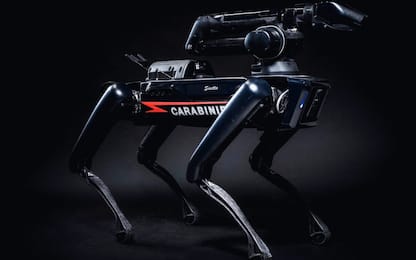 L'Arma “arruola” Saetta, il primo cane-robot dei Carabinieri