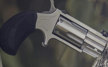 North American arms LR22, mini pistola del deputato Emanuele Pozzolo